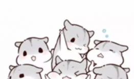 萌漫画仓鼠,漫画中的可爱日常